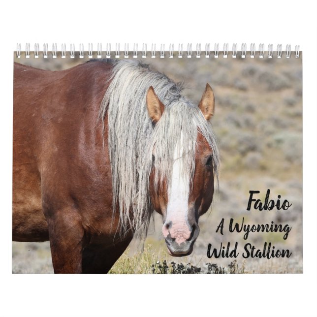 Fabio A Wild Wyoming Stallion Kalender (Omslag)