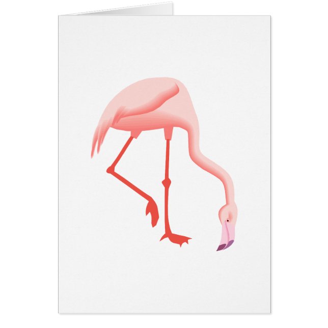 Fabio Flamingo Hälsningskort (Framsidan)