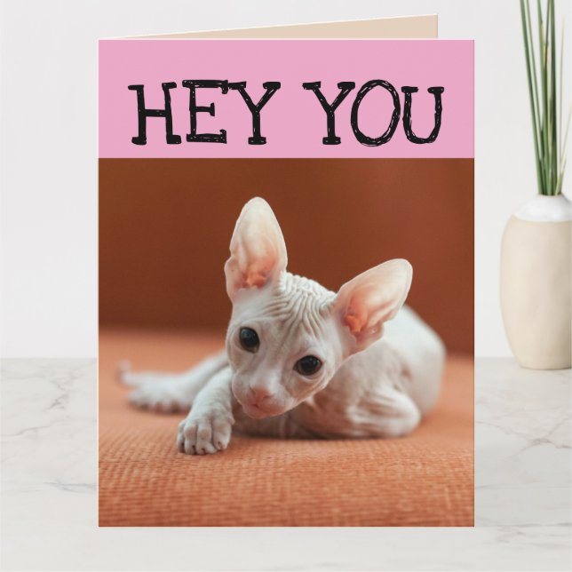 FABRIKET SPHYNX CAT BIG BIRTHDAY GREETY CARD KORT (Framsida)
