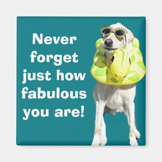 Fabulous Magnet (Framsidan)