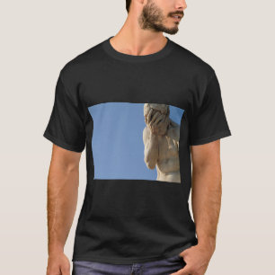 Facepalm T Shirt