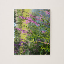 Fackelblomster