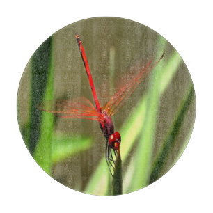 Fackelfilter Dragonfly Akrylmålning