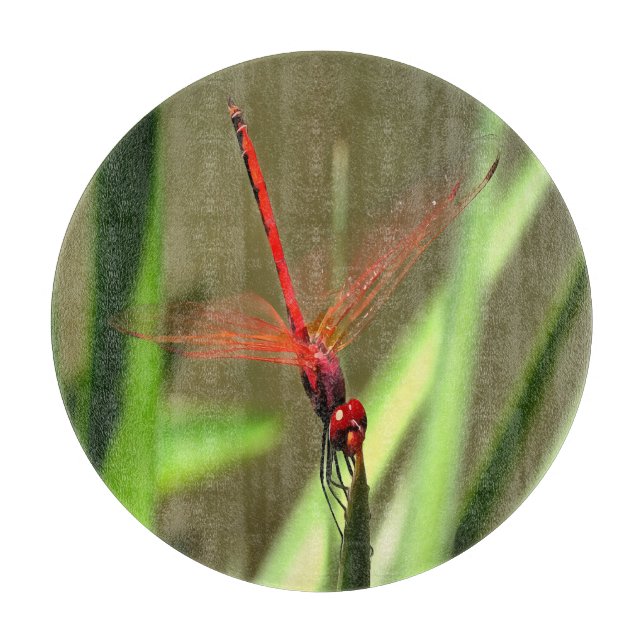 Fackelfilter Dragonfly Akrylmålning (Framsidan)