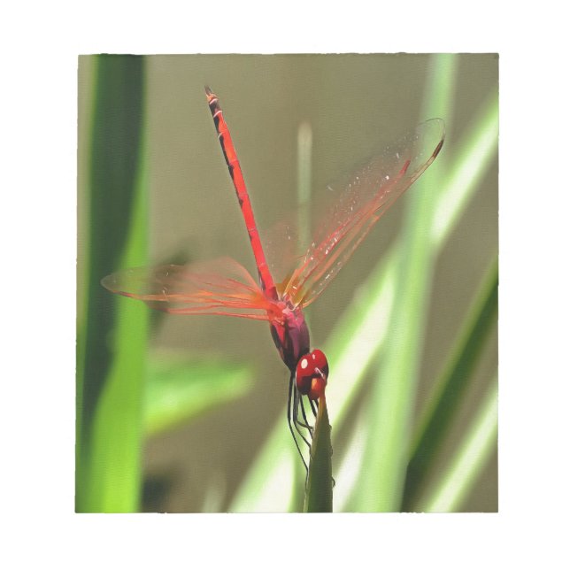 Fackelfilter Dragonfly Akrylmålning Anteckningsblock (Framsida)