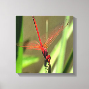 Fackelfilter Dragonfly Akrylmålning Canvastryck