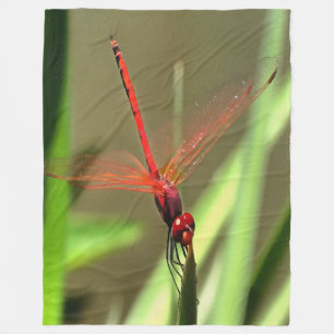 Fackelfilter Dragonfly Akrylmålning Fleecefilt