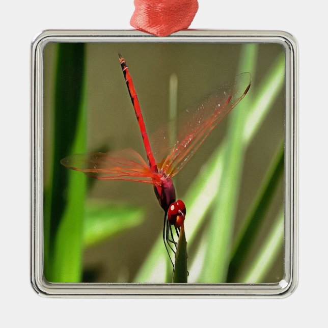 Fackelfilter Dragonfly Akrylmålning Julgransprydnad Metall (Framsidan)