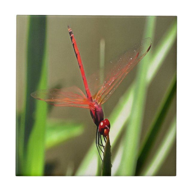 Fackelfilter Dragonfly Akrylmålning Kakelplatta (Framsidan)