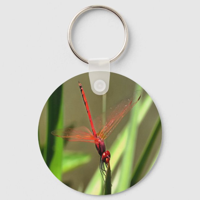Fackelfilter Dragonfly Akrylmålning Nyckelring (Framsida)