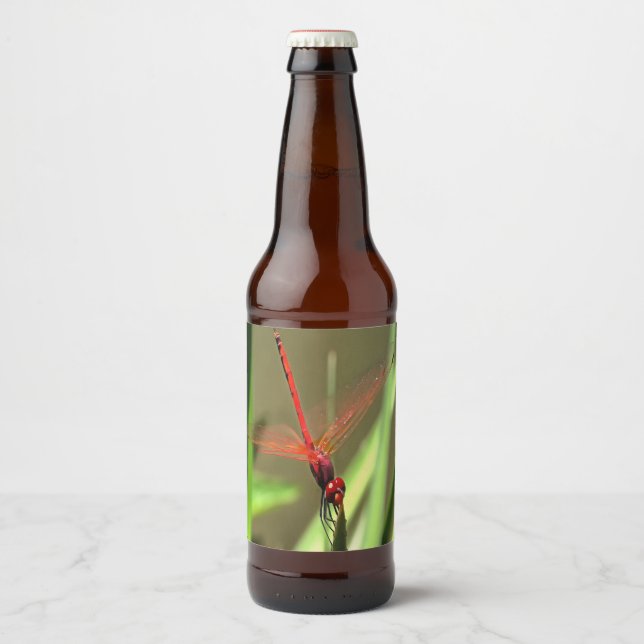 Fackelfilter Dragonfly Akrylmålning Ölflaska Etikett (Framsida)