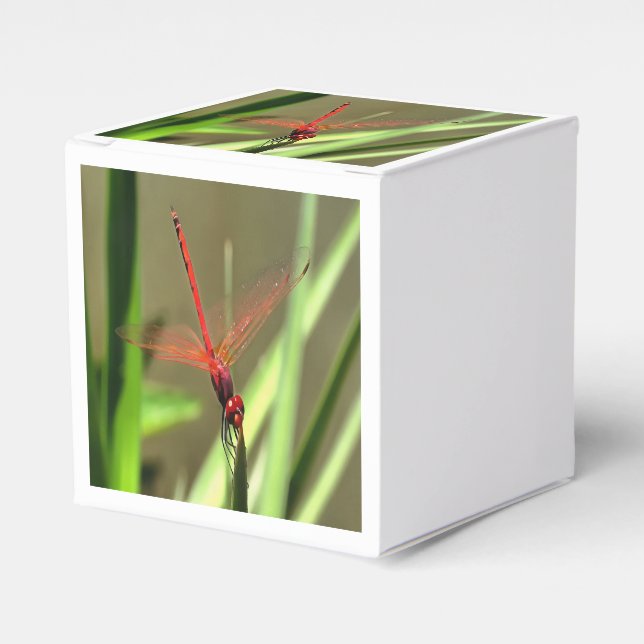 Fackelfilter Dragonfly Akrylmålning Presentaskar (Framsidan Sidan)