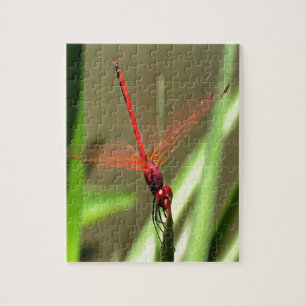Fackelfilter Dragonfly Akrylmålning Pussel