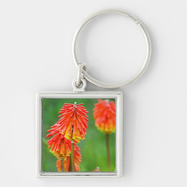 Fackellilja (Kniphofia Uvaria), Västra Kapprovinse Fyrkantig Silverfärgad Nyckelring (Framsidan)