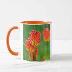 Fackellilja (Kniphofia Uvaria), Västra Kapprovinse Mugg