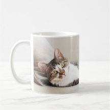 Fackert Kattdjur Friend Cat Lovers Foto Mugg