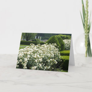 Facket Ro Garden Blommigt Photo Anpassningsbar Car Kort