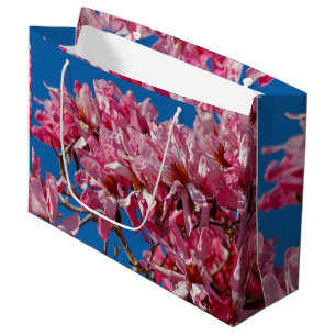 Fackisk Rosa Saucer Magnolia-Blommar
