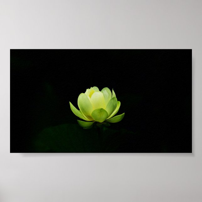 Facklig Grönt Lotus,Sjö,Zen Poster (Framsidan)