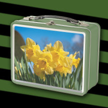 Facklig Gult Daffodils