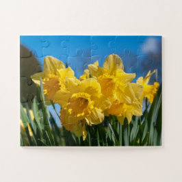 Facklig Gult Daffodils Pussel