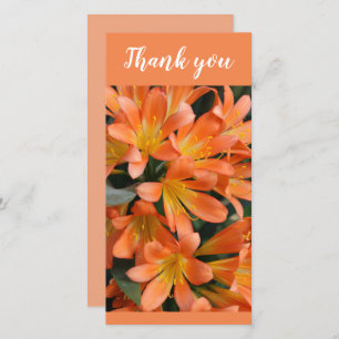 Facklig Orange Kaffir Lily Flowers Tack Kort