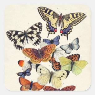 Facklig vintage Garden Butterflies Fyrkantigt Klistermärke