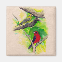 Fackmålning av vackert Scarlet Tanagers Birds Magnet