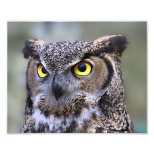 Fackutskrift av vackert utomhusmiljöer i miljön fototryck