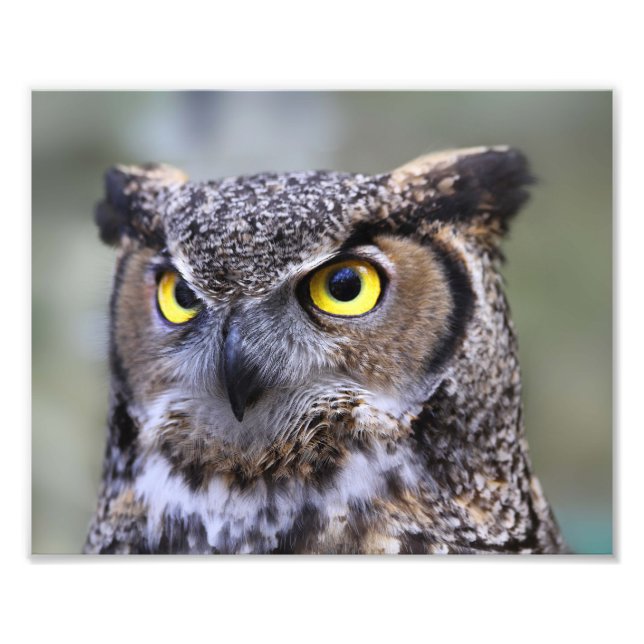 Fackutskrift av vackert utomhusmiljöer i miljön fototryck (Framsidan)