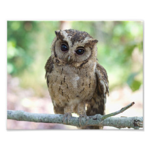 Fackutskrift av vackert utomhusmiljöer i miljön fototryck