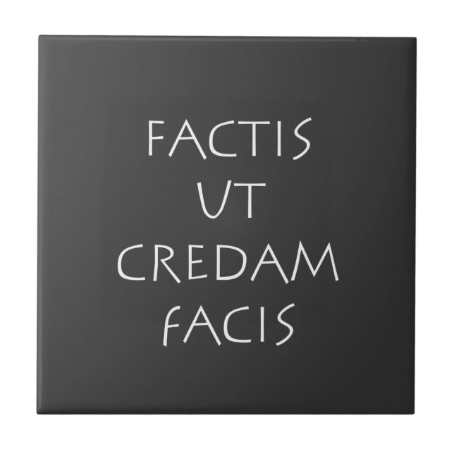 Factit ut credit am facis kakelplatta (Framsidan)