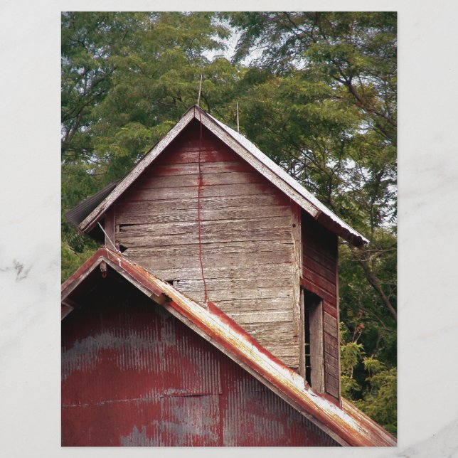 Faded Red Barn Cupola (Framsida)