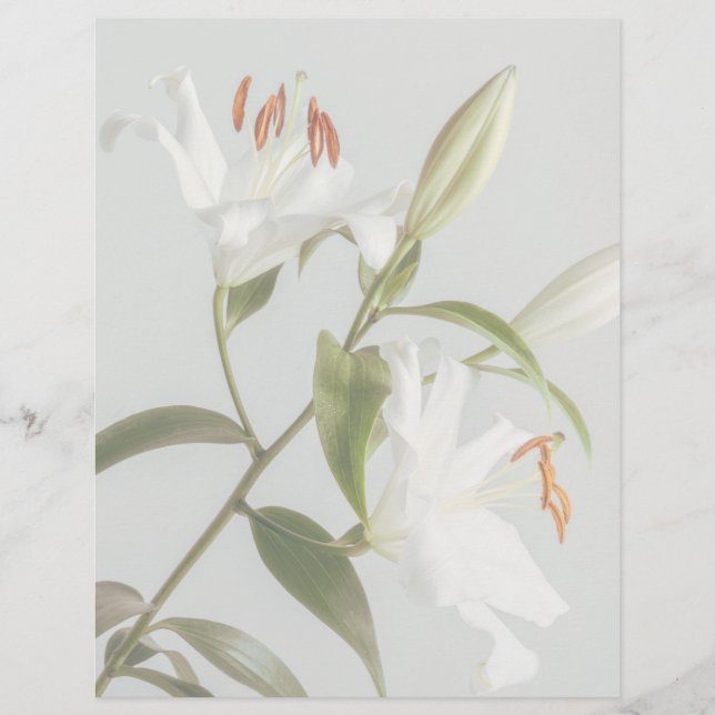 Faded white lily scrapbook paper (Framsida)