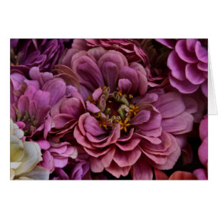 Faded Zinnias OBS Kort