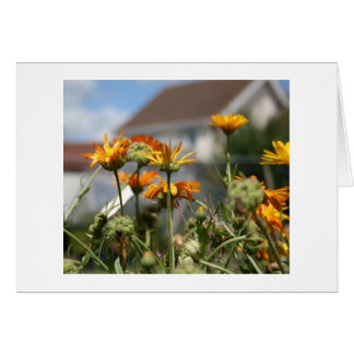 Fading Beauty Hälsningskort