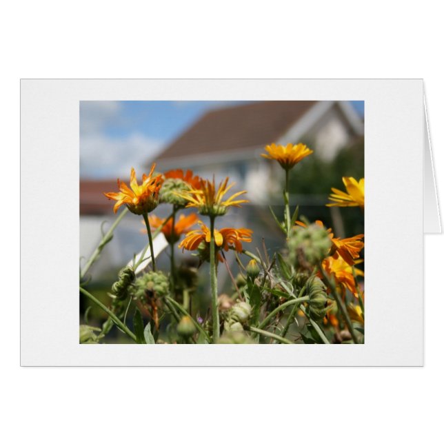 Fading Beauty Hälsningskort (Framsidan Horizontal)