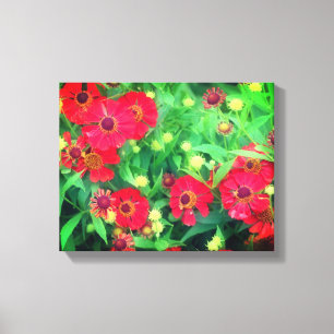 Fading Red Zinnia Flowers Canvastryck