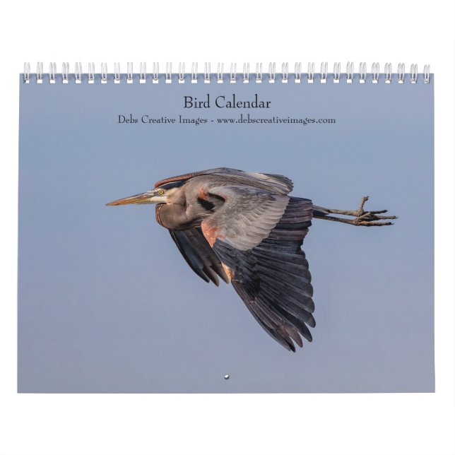 Fågel 2026 kalender (Omslag)