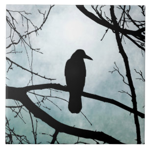 Fågel 77 Kråka Raven Kakelplatta