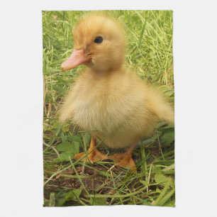 Fågel, anka, ankling, gult, natur, söt, baby. kökshandduk