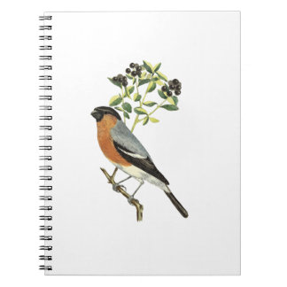 Fågel Anteckningsbok