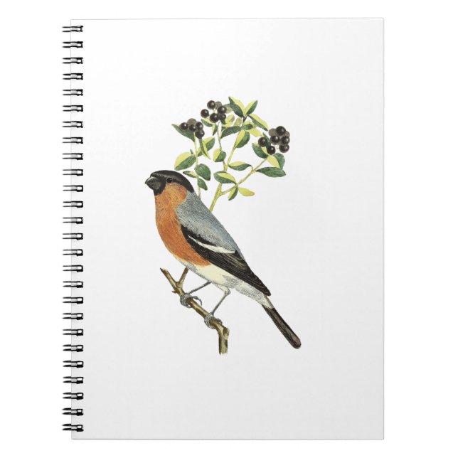 Fågel Anteckningsbok (Framsidan)