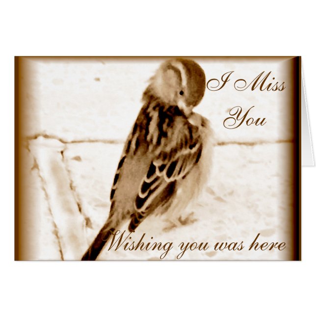 Fågel av kärlek_ OBS kort (Framsidan Horizontal)