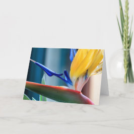 Fågel av paradisblomman helgkort