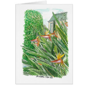 Fågel av paradisblommor hälsningskort