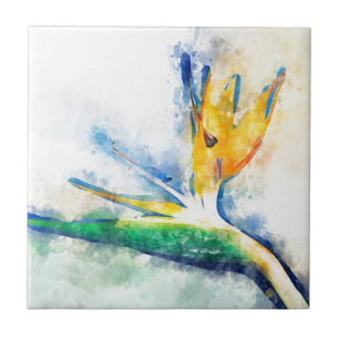 Fågel av Paradise Watercolor Art Kakelplatta