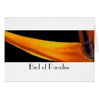 Fågel av paradiset hälsningskort
