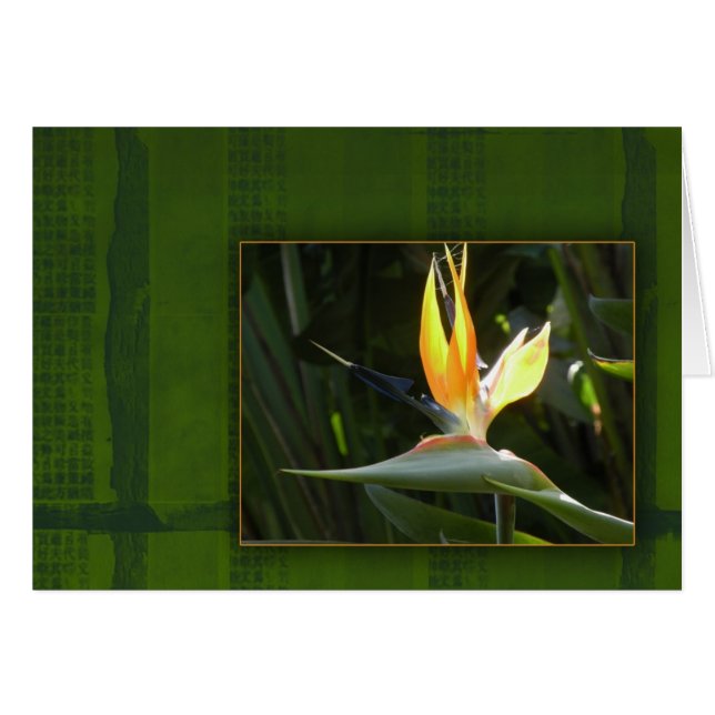 Fågel av paradiset hälsningskort (Framsidan Horizontal)