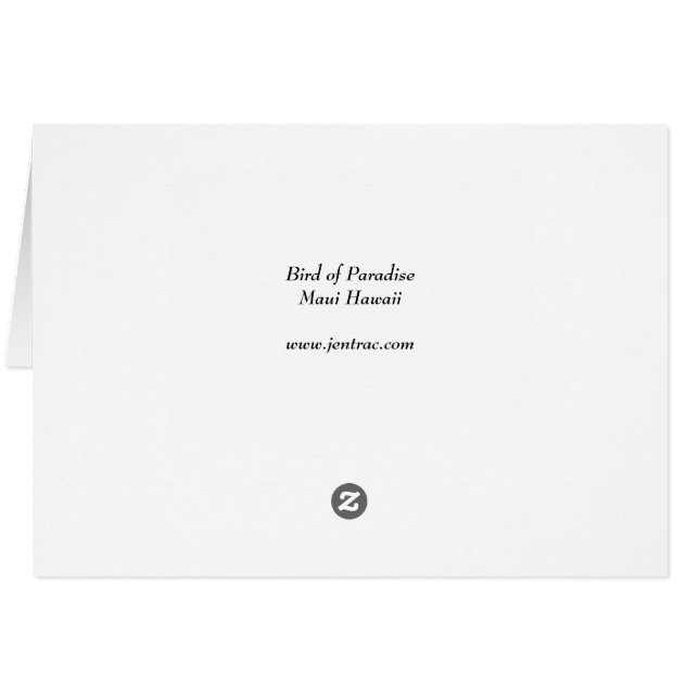 Fågel av paradiset - Maui Hawaii Hälsningskort (Baksidan Horizontal)